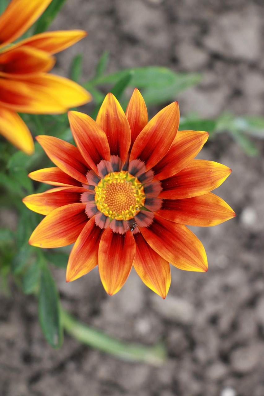 損害が確定するまでの期間はどのくらいかかるのか？