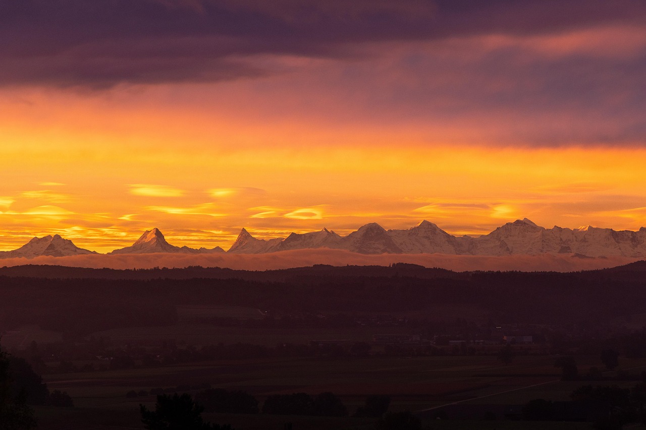 示談金を早く受け取る方法とはどのような手続きが必要ですか？