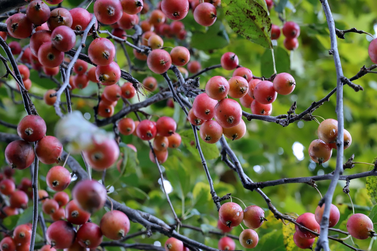 過失相殺とはどのような制度か、その具体的な内容は？