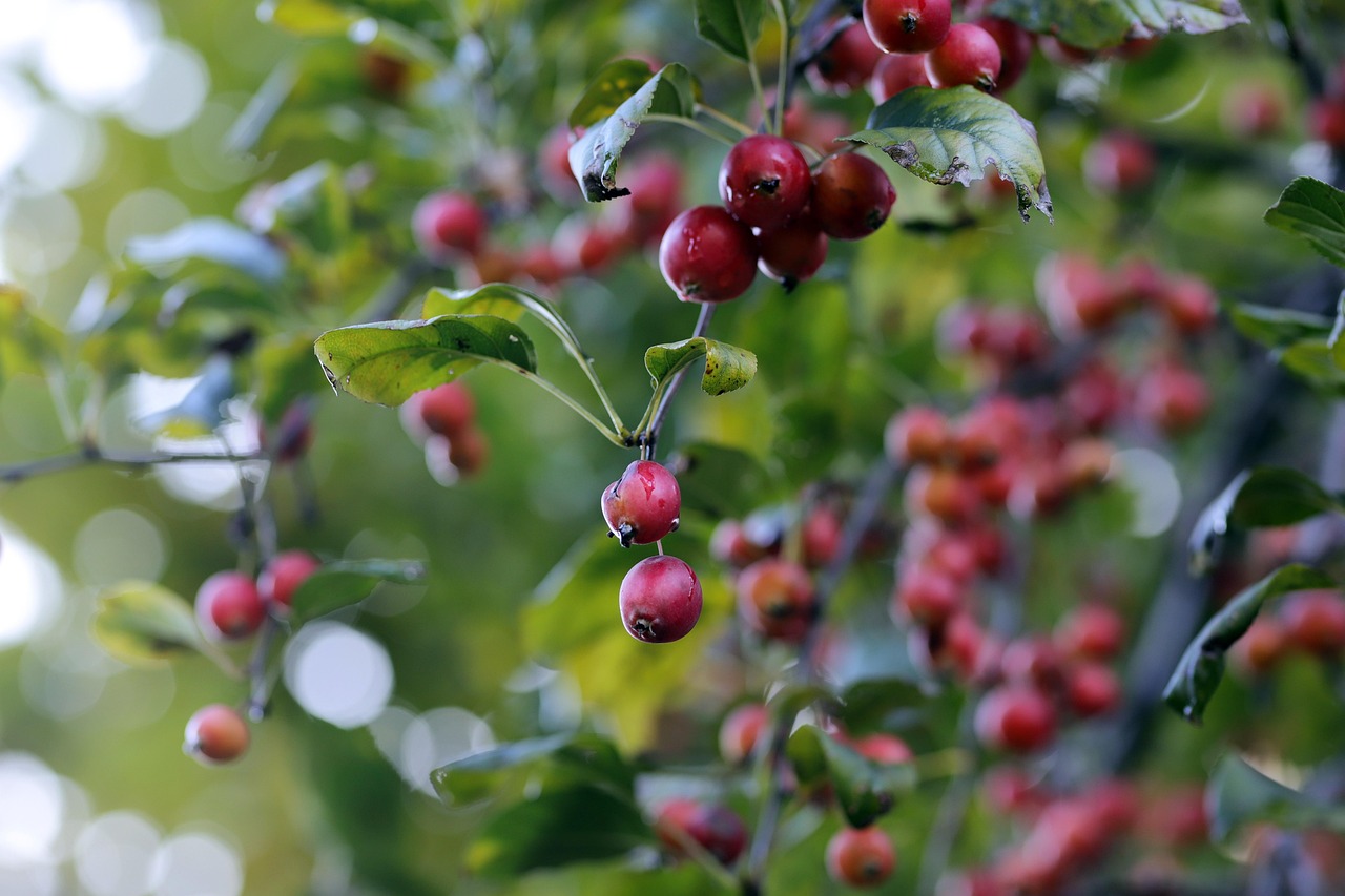 過失相殺制度とはどのような仕組みで適用されるのか？